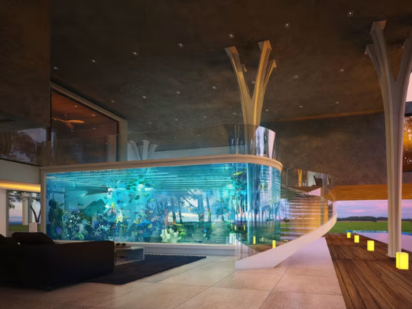 Aquarium outdoor dengan kolam air garam dan terumbu karang